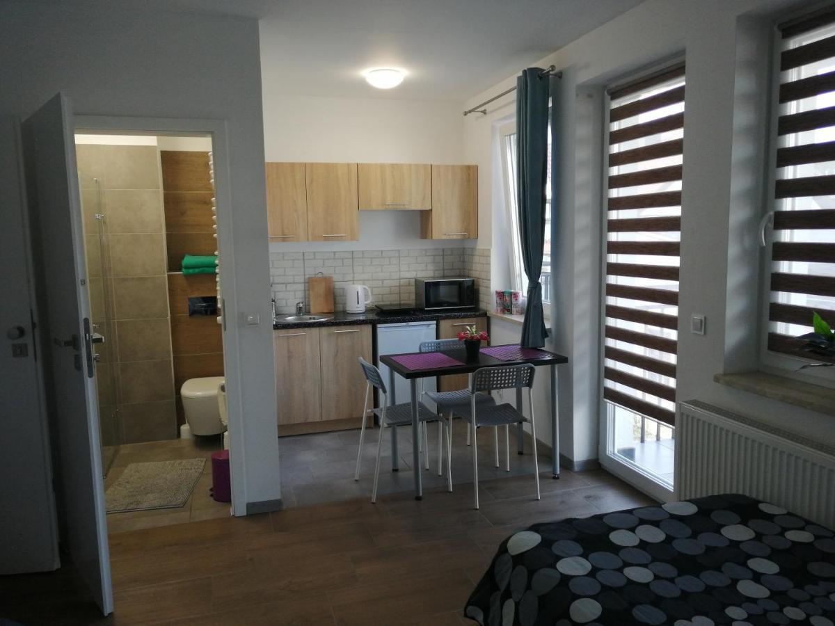 Pokoje - Studio Gliwice I Przy Onkologii Exterior foto